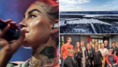 Artisten och aktivisten om kopplingen till ön • ”Samma känsla som i Jokkmokk” • Nu vill hon få Visby-publiken att dansa