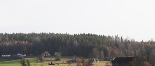 Stärk villkoren för småföretag på landet