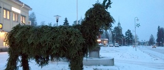 Påtänd bock fortfarande vid liv