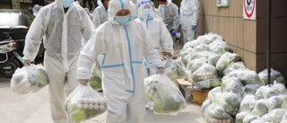 Oväntat hårt pandemibakslag för Kina
