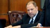 Weinsteins överklagande avslås av domstol