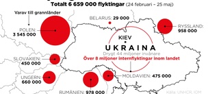 Över 6,6 miljoner har flytt Ukraina