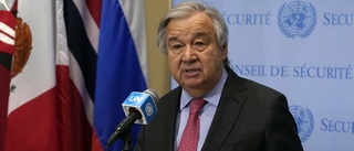 FN bekräftar: Guterres till Ukraina