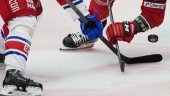 Beslut: Hockeyförbundet tvingas ändra reglerna