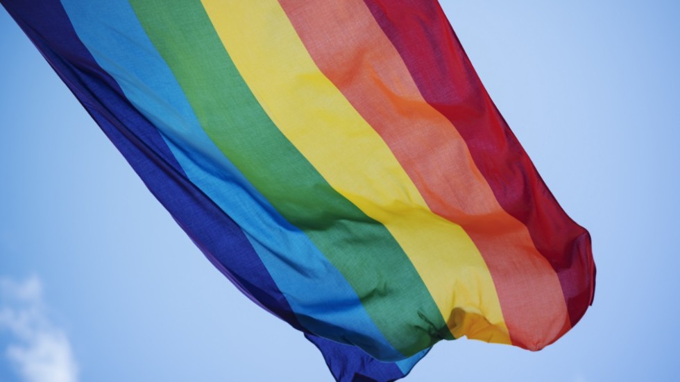 Regnbågsflaggan har en avgörande plats i Amy Karlssons liv, och därmed också krönikor.