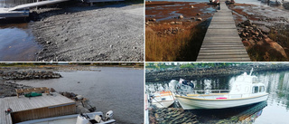 Vattennivån sjönk rejält utanför Skellefteå på kort tid – här är SMHI:s förklaring: ”En hel meters skillnad”