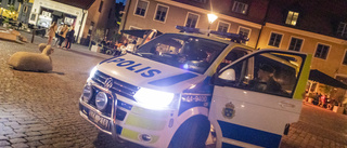 Polisen om GGN-helgen: "Några landade i vårt knä"