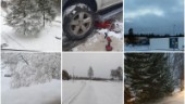 Snöig helg i Norrbotten – se läsarnas egna bilder