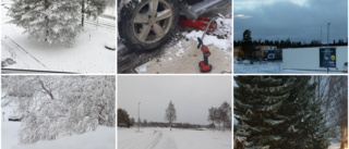 Snöig helg i Norrbotten – se läsarnas egna bilder