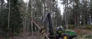 Prisökning på skog överallt – men inte på Gotland