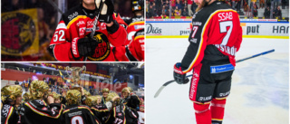 Quiz: Vad kan du om Luleå Hockeys trotjänare?