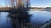 Höga vattennivåer i Hjoggböle: ”Rena vårfloden”