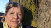 Här vill politikerna höja skatten - med en krona