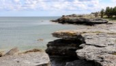 Fem grundområden längs Gotlands kust ska undersökas