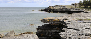 Fem grundområden längs Gotlands kust ska undersökas
