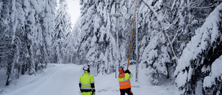 Efter snöovädret – 2 000 träd över elledningar
