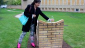 Nya konstsatsningen i stan: "Största någonsin"
