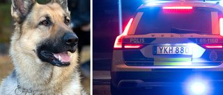 Polis sökte med hundar efter misslyckat inbrott