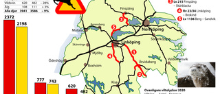 Kraftig minskning av viltolyckor i Östergötland 2020