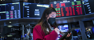 Omstridda aktier rusade på Wall Street igen