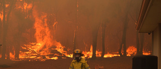 Skogsbrand och covid-19 dubbelt hot mot Perth