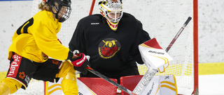 Bildspel: Se bilderna från Luleå Hockey/MSSK:s premiär