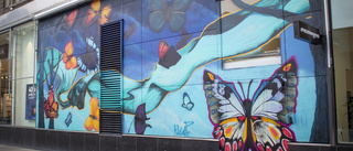 Här är Norrköpings nya graffitikonstverk – mitt i city