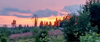 Pastellfärgad himmel över Lautakoski
