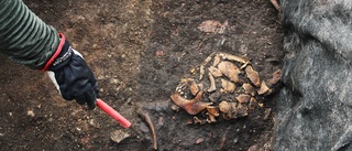 Skelett hittades i ruinen • Dansk knekt eller Västerviksbo? Då kan vi få ett svar