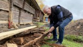 Nu renoveras den 300 år gamla ladugården • Här finns länets äldsta kända profana träbyggnad