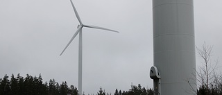 Kritiserad vindkraftspark norr om Byske får stöd