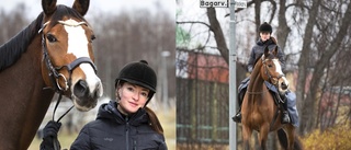 Ryttaren Jenny Enbom vill att bilförare visar respekt: "Inte bara för hästen och för mig som ryttare det blir livsfarligt"