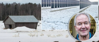 Norrbottens största solcellspark planeras i Alvik