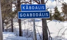 Man släppt på fri fot efter misstänkta våldtäkten i Kåbdalis