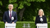 Natoskrällen vände upp och ned på Sverigebilden