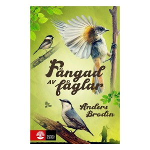 Fångad av fåglar