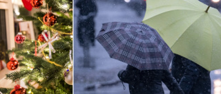 Nya prognosen: Så blir julvädret i Vimmerby och Hultsfred • Minusgraderna kan göra comeback