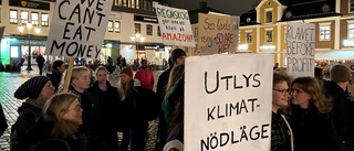Den kraftiga ilskan mot klimataktivister
