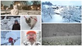 BILDEXTRA: Här är läsarnas vackraste – och mest udda – snöbilder