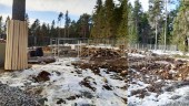 Träd fälldes olovligen i grönområde