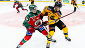 Luleå Hockey föll efter het drabbning – så var matchen 