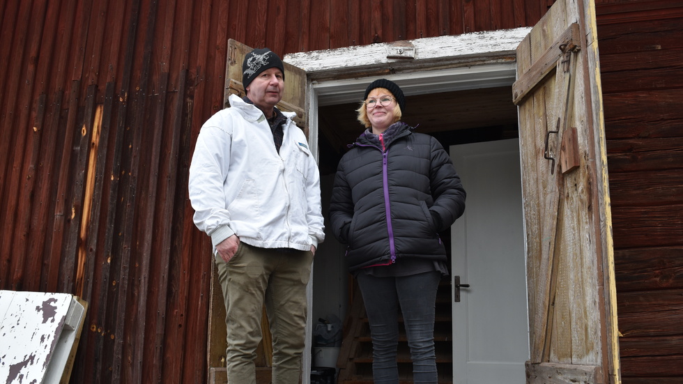 Tomas Hellberg och hans hustru Lotta Hellberg håller på att utveckla sin företagsidé inom biodling. 