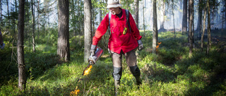 Här pågår jättebranden – rökpelaren syns från E4