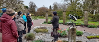 Gotlands guideförening i Botaniska trädgården den 6 maj