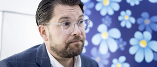 Åkesson: Vi förtjänar kritik