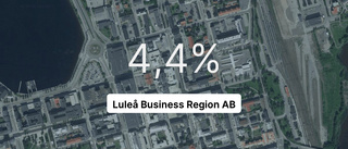 Luleå Business Region ökade sin omsättning