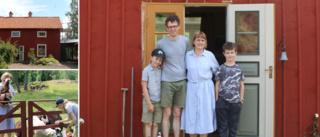 Familjen lämnade Linköping för husdrömmen – ekohus i lera och trä