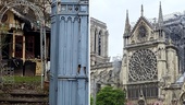 Våran "Gubbe" – och Notre Dame