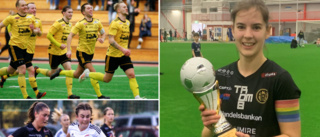 Se Wallenberg Security Cup direkt här!