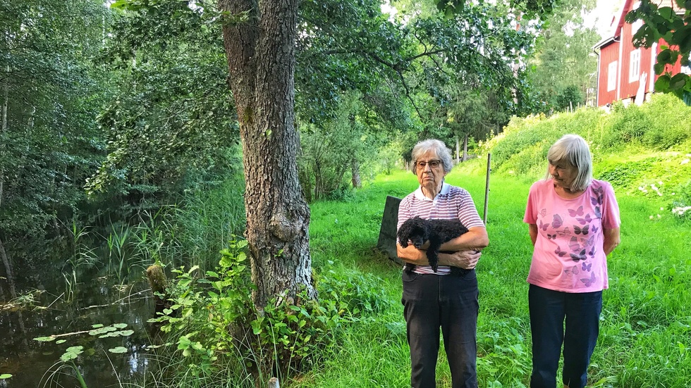 Lena Holm och Siv Johansson är besvikna på hur vattennivån i Vervelån regleras.  Iband svämmar den över och iband är den helt torrlagd berättar de.  